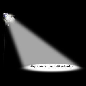 NEW Spotlight PositivelyAwesomePoshers 💚💚💚💚💚